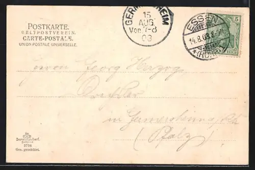 AK Essen / Ruhr, Stadtgartenpartie, Alter Teich