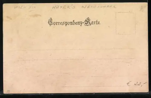 AK Wien, Hayeks Weinschank, Häuserl am Roan