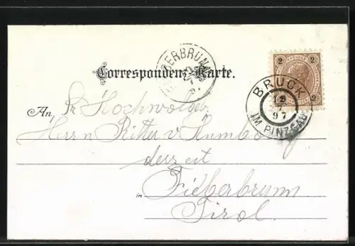 Lithographie Bruck-Fusch, Schloss Fischhorn, Ortsansicht mit Kirche