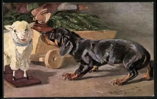 AK Dackel greift ein Spielzeug-Schaf an