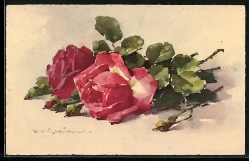 Künstler-AK Catharina Klein: Zwei rote Rosen mit grünen Blättern auf hellem Hintergrund