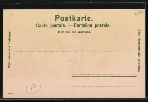 Künstler-AK Manuel Wielandt: Locarno, Panorama des Ortes