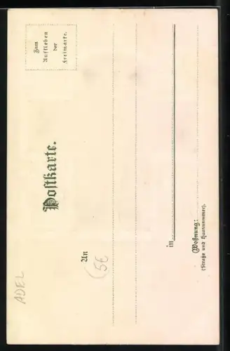 AK Denkmäler, Friedrich II., Friedr. Sesselmann
