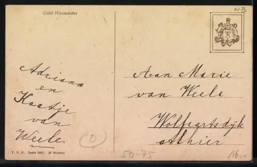 AK Drei Gold Wyandottes im Stroh