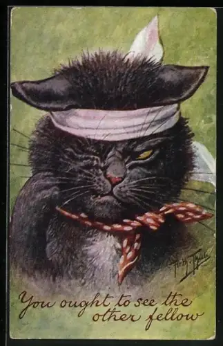 Künstler-AK Arthur Thiele: You ought to see the other fellow, Verletzter Kater mit Verband