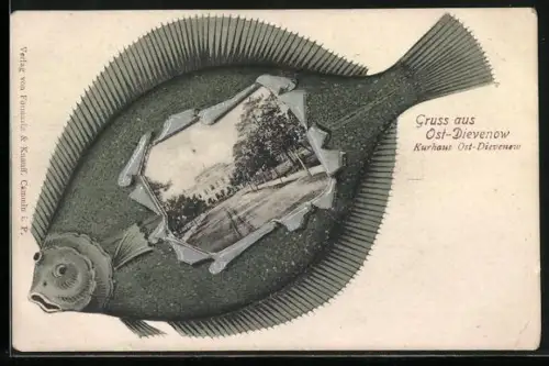 AK Ost-Dievenow, Kurhaus, Flunder