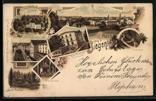 Lithographie Ziegenhals, Wasserheilanstalt Franzensbad, Musik-Pavillon, Juppebad