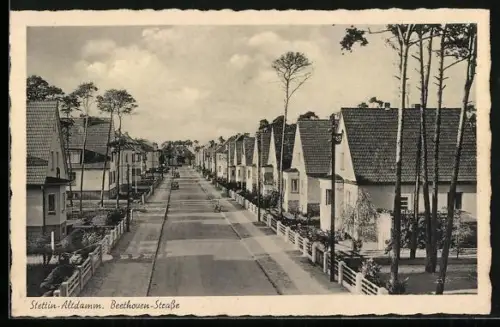 AK Altdamm, Blick in die Beethoven-Strasse