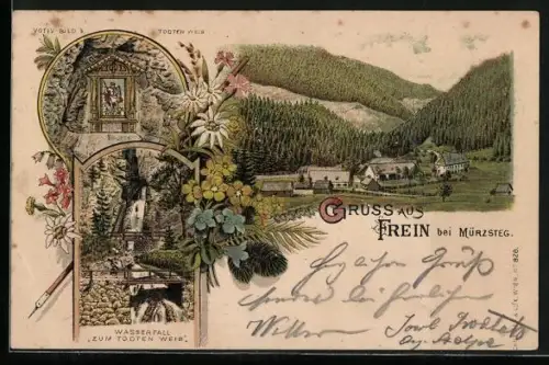 Lithographie Frein bei Mürzsteg, Wasserfall Zum todten Weib, Ortsansicht