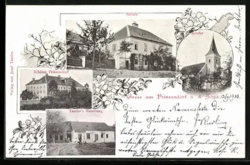 AK Hauskirchen /N.-Oe., Gruss aus Prinzendorf an der Zaya, Tatzlers Handlung, Schule, Schloss, Kirche