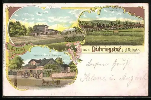 Lithographie Dühringshof a. d. Ostbahn, Warenhaus von R. Steinborn, Bahnhof, Ortspanorama