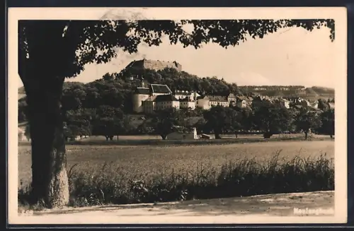 AK Neulengbach, Teilansicht mit Kirche
