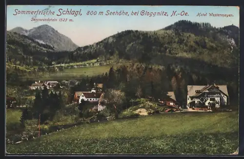 AK Raach am Hochgebirge, Schlagl mit Hotel Westermayer