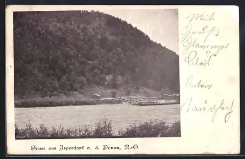 AK Isperdorf an der Donau, Uferpartie mit Dampfer