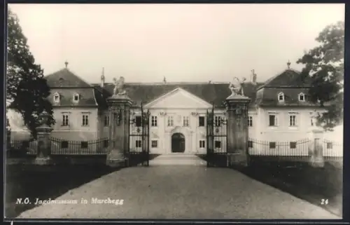 AK Marchegg /N. Ö., Jagdmuseum