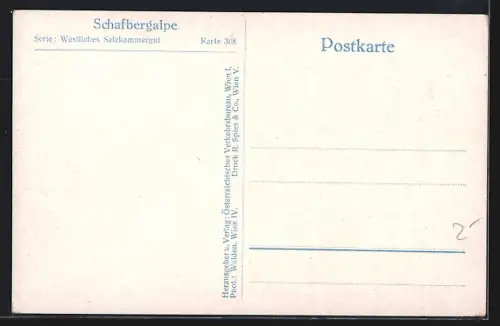 AK Schafberg, Partie auf der Schafbergalpe