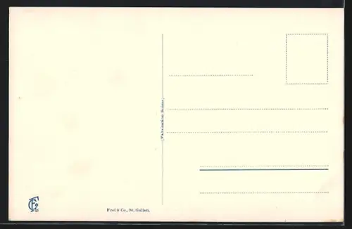 AK Tamins, Ortsansicht aus der Vogelschau