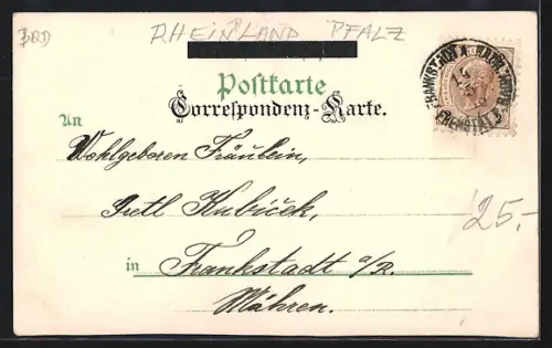 Lithographie St. Goar, Panorama mit St. Goarshausen, Ruine Katz, Ruine Rheinfels