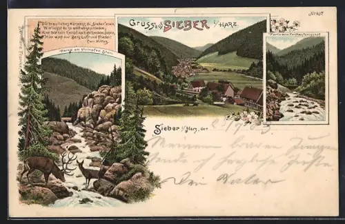 Lithographie Sieber i. Harz, Stumpfer Stein, Bach am Forsthaus Königshof, Gesamtansicht