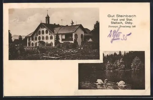 AK Staltach /Obby., Gut Steinbach, Teich mit Schwänen
