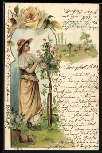 Lithographie Gärtnerin bei einem Rosenbusch