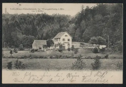 AK Wangenburg i. Els., Luftkurhotel Freudeneck, Bes. J. Müller