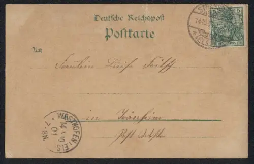 Lithographie Strassburg, Kaufhausstaden, Neue Bibliothek, Gewerbslauben, Altes Haus am Domplatz