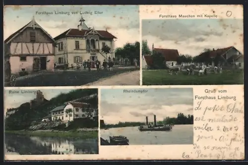 AK Markolsheim, Forsthaus Limburg, Forsthaus Mauchen, Ruine und Rheindampfer