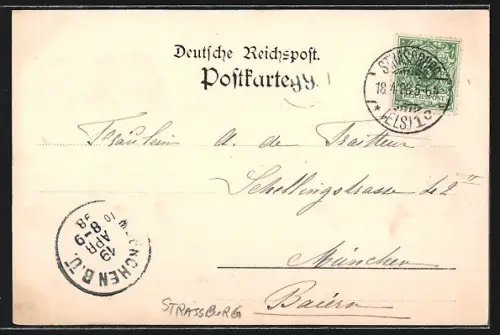 AK Strassburg, Geschäfte in der Steinstrasse