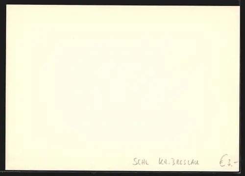 AK Breslau, Rathaus, Ganzsache