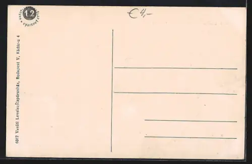 AK Békécsaba, Körösparti részlet