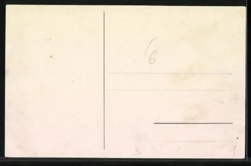 AK Celebre Compagnia Lirica Italiana, Direttore Fausto Bonifacio, Musiker