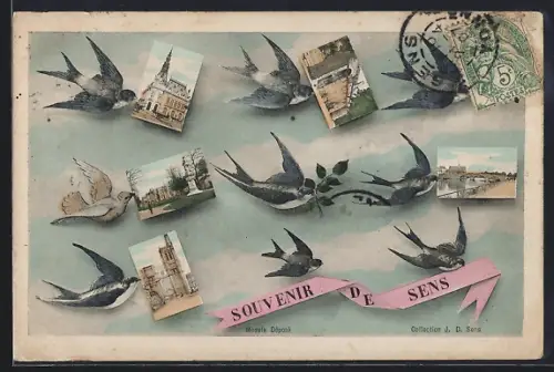 AK Sens, Souvenir illustré avec hirondelles et vues de la ville