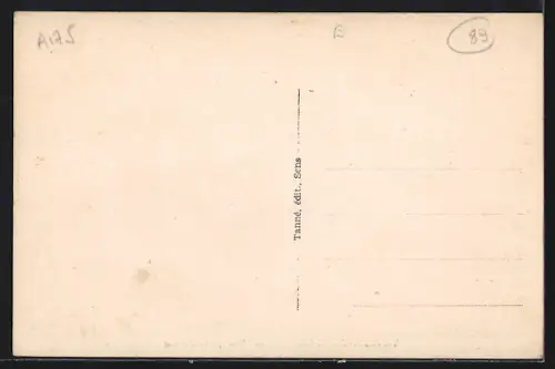 AK Thorigny-sur-Oreuse, Vue panoramique