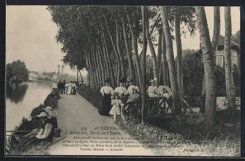 AK Auxerre, L`Arbre-Sec, Bords de l`Yonne, Promenade ombragée le long de la rivière