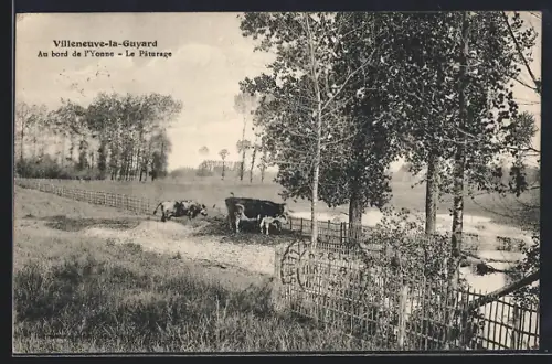 AK Villeneuve-la-Guyard, Au bord de l`Yonne, Le Pâturage