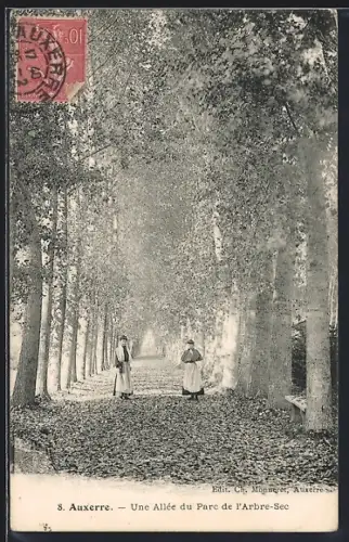 AK Auxerre, Une Allée du Parc de l`Arbre-Sec