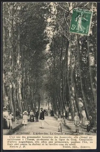 AK Auxerre, L`Arbre-Sec. La Grande Avenue avec promeneurs sous les arbres magnifiques