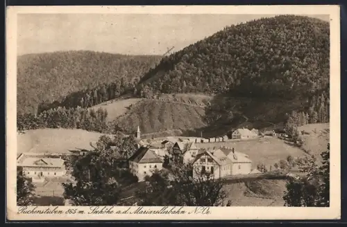 AK Puchenstuben a. d. Mariazellerbahn, Panorama mit Bäumen
