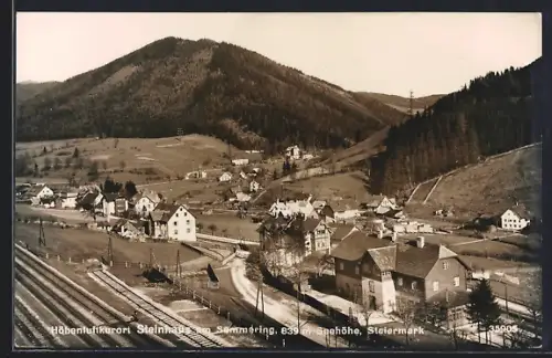 AK Steinhaus am Semmering, Teilansicht mit Strassenpartie