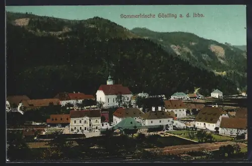 AK Göstling a. d. Ibbs, Teilansicht mit Kirche