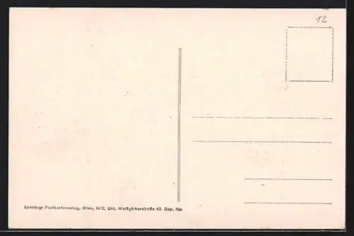 AK Wien, Mauer aus der Vogelschau