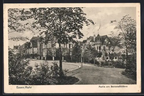 AK Essen /Ruhr, Partie am Bernewäldchen