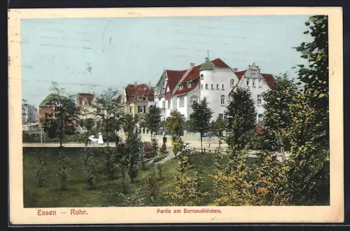 AK Essen /Ruhr, Partie am Bernewäldchen
