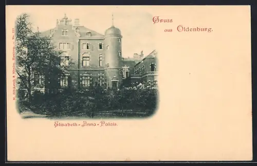 AK Oldenburg / O., Elisabeth-Anna-Palais
