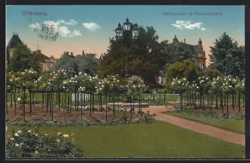 AK Oldenburg / O., Cäcilienplatz mit Rosenstock-Spalier