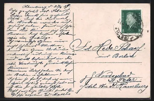 AK Oldenburg i. O., Bäume auf dem Cäcilienplatz