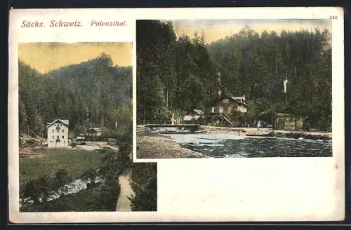 AK Polenztal /Sächs. Schweiz, Flusslandschaft am Wald