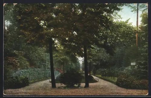 AK Grunewald, Scheibenstand IV. Kompagnie