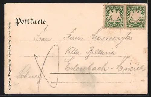 AK Rosenheim, Ortsansicht mit Alpenpanorama